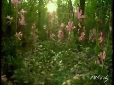 Заброшенный лес — Аркадий Хоралов